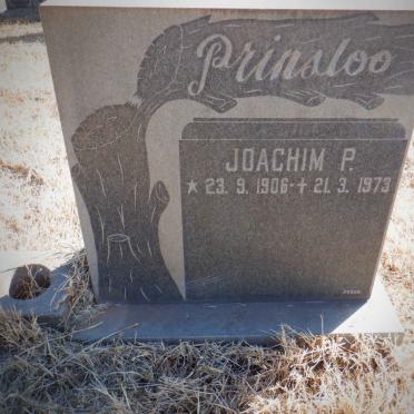 PRINSLOO Joachim P. 1906-1973