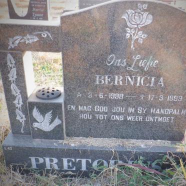 PRETORIUS Bernicia 1998-1999