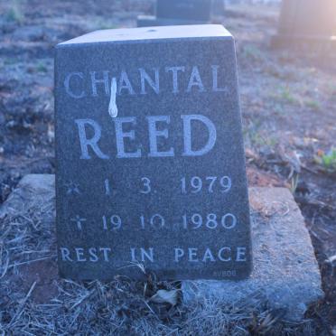 REED Chantal 1979-1980