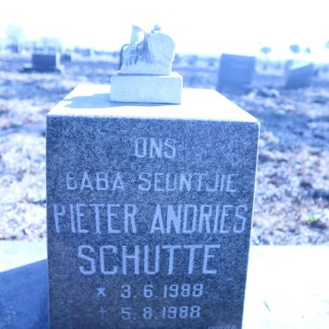 SCHUTTE Pieter Andries 1988-1988