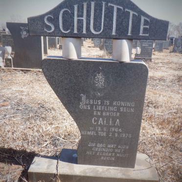SCHUTTE Calla 1964-1978