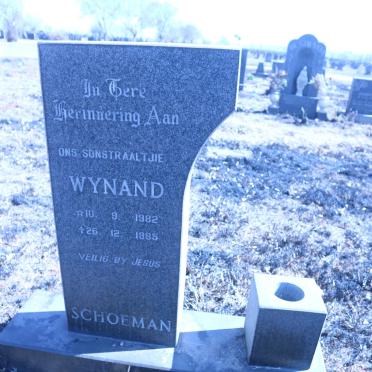 SCHOEMAN Wynand 1982-1985