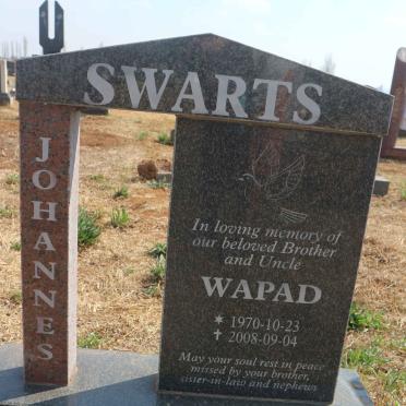 SWARTS Johannes 1970-2008