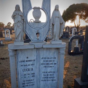 TEIXEIRA Cecilia 1969-1991