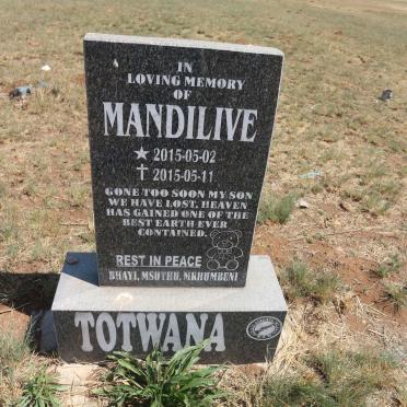 TOTWANA Mandilive 2015-2015