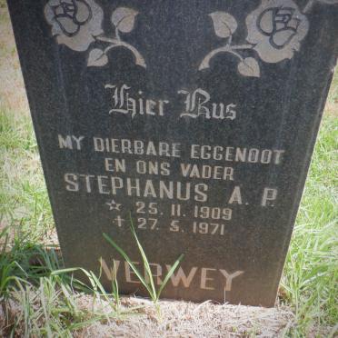 VERWEY Stephanus A.P. 1909-1971