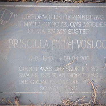 VOSLOO Johan 1946-2008 &amp; Priscilla 1945-2000