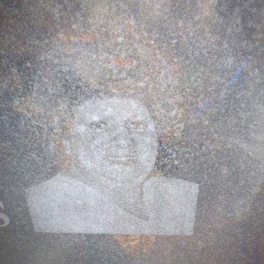WYK Bess, van 1951-2007