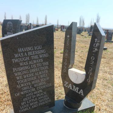 ZAMA 1990-2010