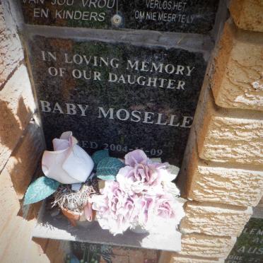 ? Baby Moselle 2004