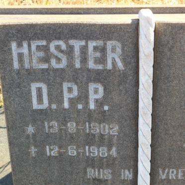? Willem Daniel F. 1897-1978 &amp; Hester D.P.P. 1902-1984