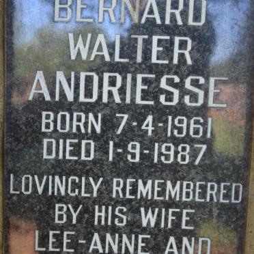 ANDRIESSE Bernard Walter 1961-1987