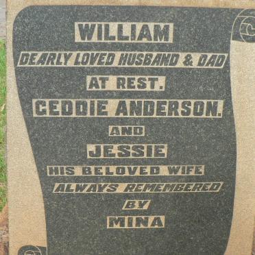 ANDERSON William :: ANDERSON Geddie :: ANDERSON Jessie