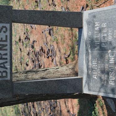 BARNES April 1904-1933 &amp; Rosaline 1907-1953 :: BARNES William Peter 1930-1984