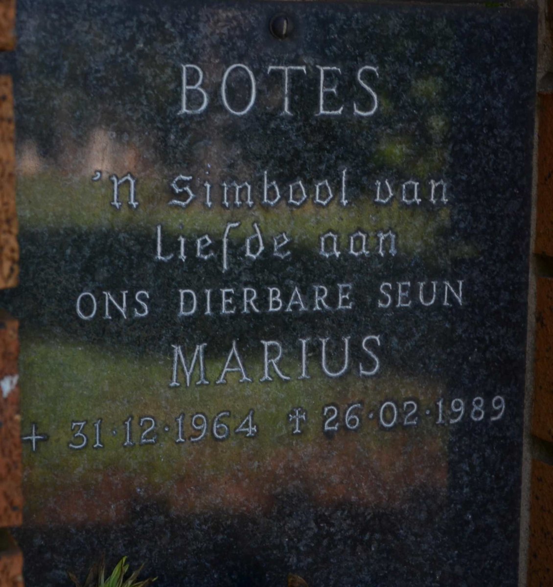BOTES Marius 1964-1989