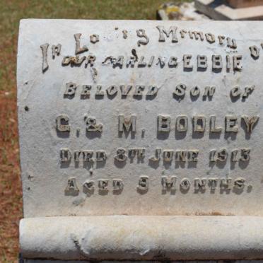 BODLEY Ebbie -1913