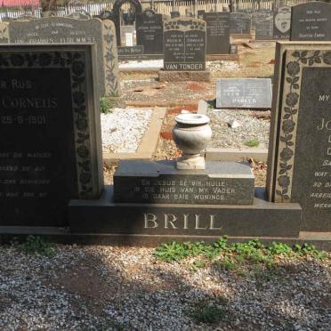 BRILL David Cornelis 1901- &amp; Joey Edward 1917-1961