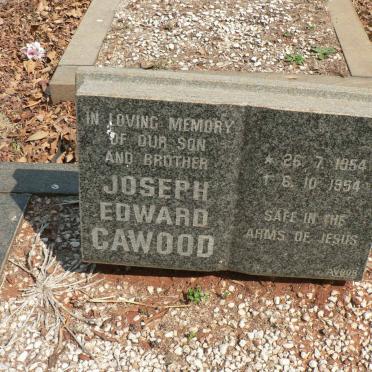 CAWOOD Joseph Edward 1954-1954