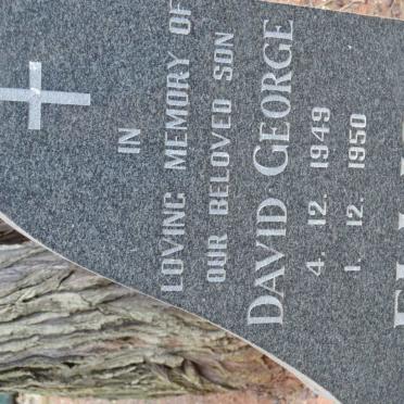 ELLIS David George 1949-1950