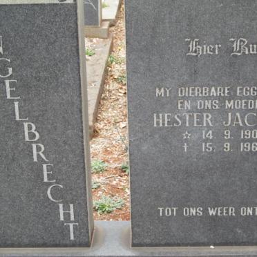 ENGELBRECHT Hester Jacoba 1907-1966