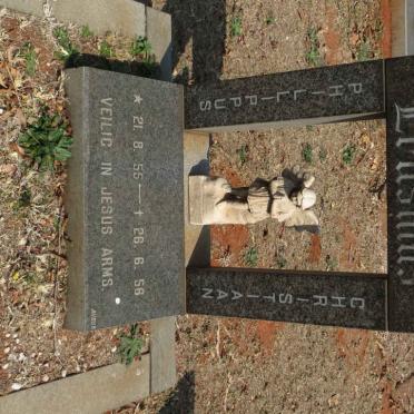 ERASMUS Phillippus Christiaan 1955-1956