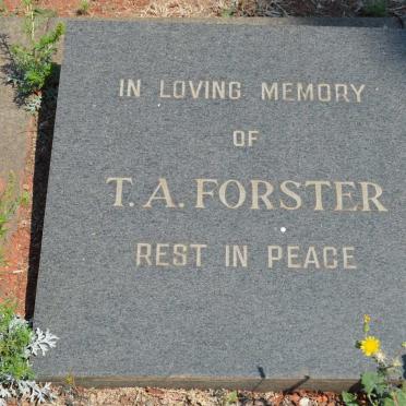 FORSTER T.A.