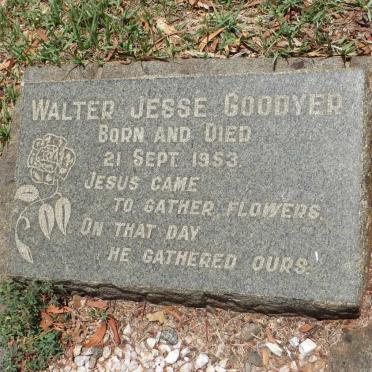 GOODYER Walter Jesse 1953-1953