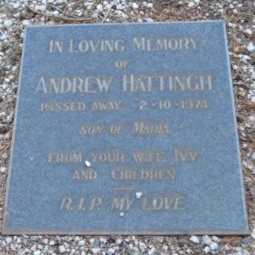 HATTINGH Andrew -1974
