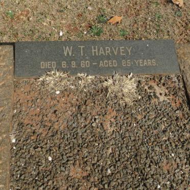 HARVEY W.T. -1960