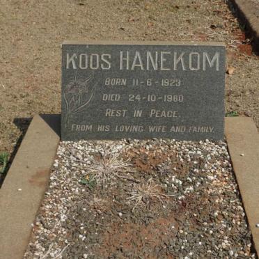 HANEKOM Koos 1923-1960