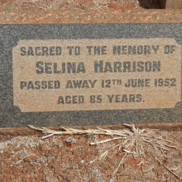 HARRISON Selina -1952