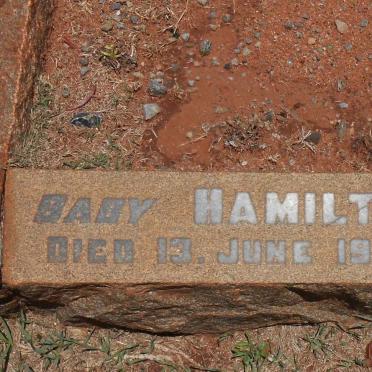 HAMILTON Baby -1905
