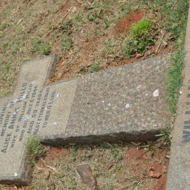 HILLS William -1959 &amp; Alice Anne -1944