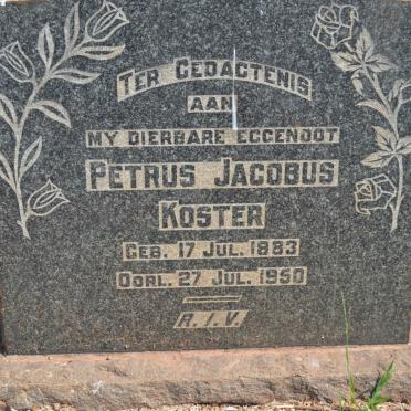 KOSTER Petrus Jacobus 1883-1950
