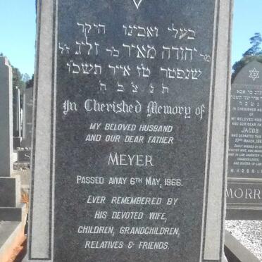 LEVINTHAL Meyer -1966