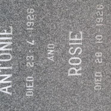 MANSOUR Antonie -1926 :: MANSOUR Rosie -1926 :: MANSOUR Paul -1969