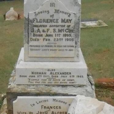 McCUE Frances -1911 :: McCUE Florence May 1895-1906 :: McCUE Norman Alexander 1903-1903