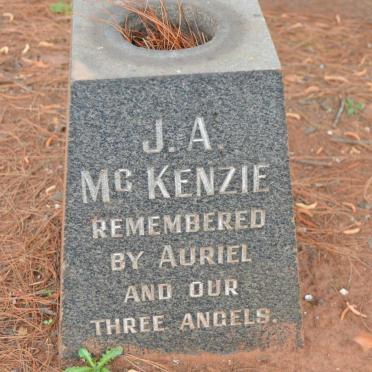 McKENZIE J.A.