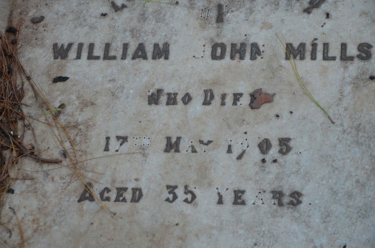MILLS William John -1905