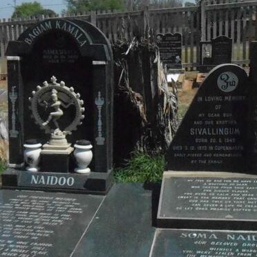 NAIDOO Namasivaya -2000 :: NAIDOO Sivallingum 1949-1973 :: NAIDOO Soma