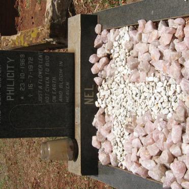 NEL Philicity 1969-1972