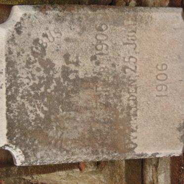 NOLTE Willem Jacobus 1906-1906