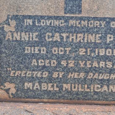 PALM Annie Cathrine -1906
