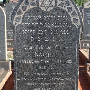 PELTU Nacha -1963