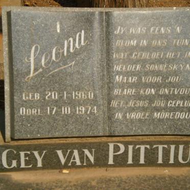 PITTIUS Leona, Gey van 1960-1974