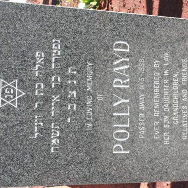 RAYD Polly -1988