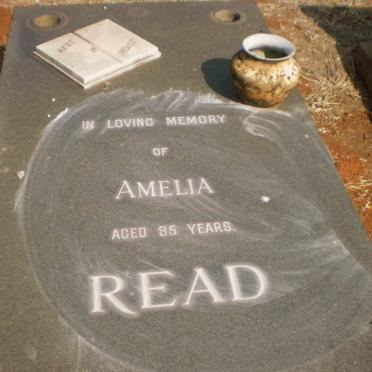 READ Amelia