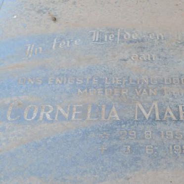 SMITH Johannes Stephanus 1931-2006 & Martha Cornelia 1932-1992 ::SMITH Francois Stephanus 1959-1976 :: SMITH Cornelia Maria 1955-1981