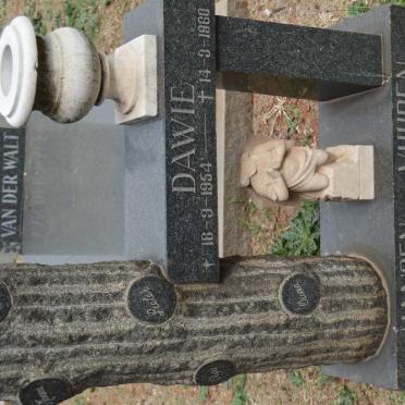VUUREN Dawie, Jansen v. 1954-1960