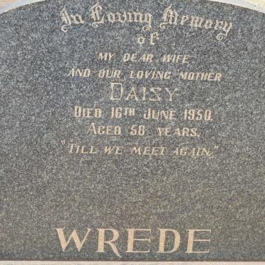 WREDE Daisy -1950